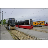 2021-05-21 Alstom Flexity Bruxelles (03700386).jpg